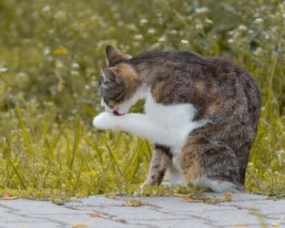 Korperhygiene ist wichtig!