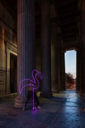 Flamingo am Königsplatz - inspiriert von picasso