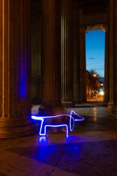 Dackel am Königsplatz - inspiriert von picasso